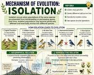 EVOLUTION
