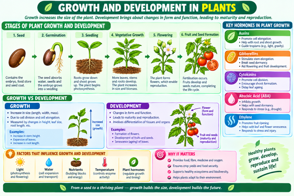 GROWTH AND DEVELOPMENT IN PLANTS