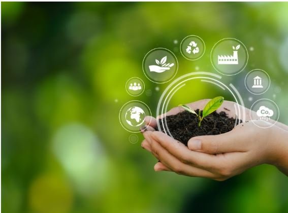 Environmental Engineering & Sustainable Solutions